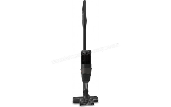 MIELE Triflex HX2 Gris Pro SOML0 - Vue de l'arri&egrave;re