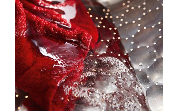 MIELE WCD 120 WCS - Mise en situation