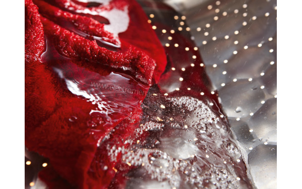 MIELE WCD 660 - Mise en situation