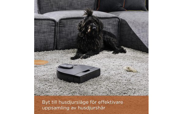 NEATO D10 - Mise en situation