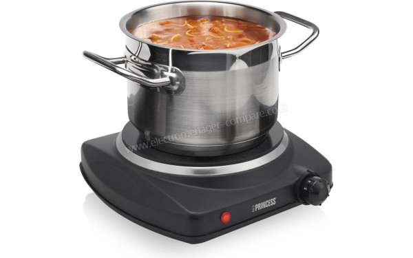 PRINCESS 303020 - Mise en situation