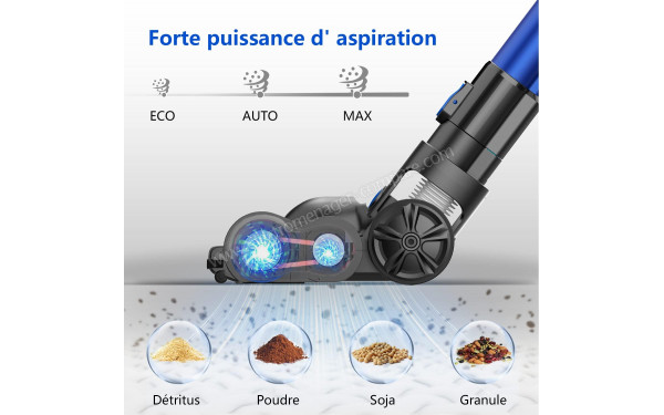 PROSCENIC P11 Animal - Mise en situation