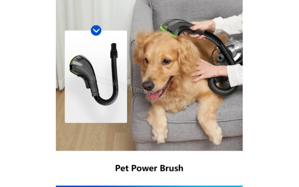 PROSCENIC P11 Animal - Mise en situation