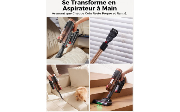 PROSCENIC P11 Ultra Gold Rose - Mise en situation