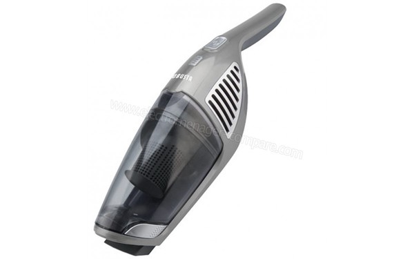 ROBUSTA Fastclean F6 Gris - Aspirateur &agrave; main