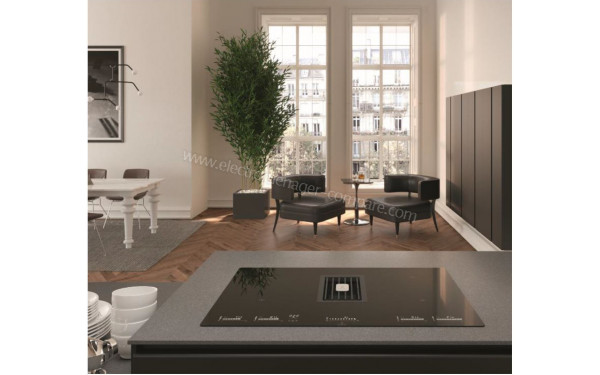 ROBLIN Maestro NG 830 - Mise en situation