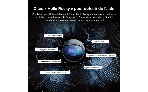 ROBOROCK Saros 10R Set Noir - Assistant vocal int&eacute;gr&eacute;