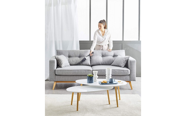 ROWENTA AC9736WO - Mise en situation