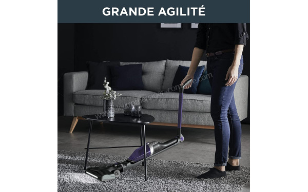 ROWENTA RH1238WO - Mise en situation