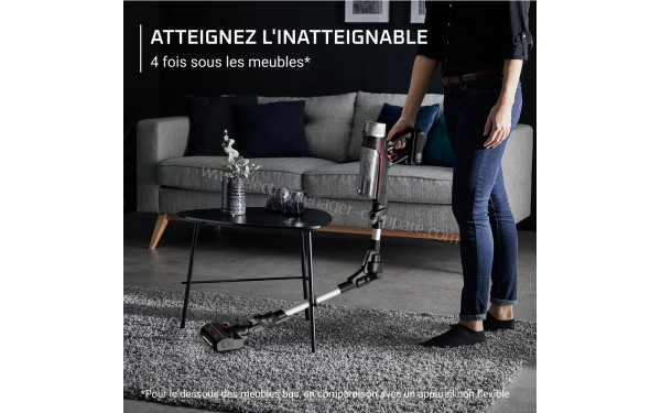 ROWENTA RH2036WO - Mise en situation