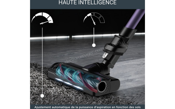 ROWENTA RH2039WO - Brosse (cr&eacute;dit : Boulanger)