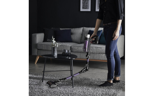 ROWENTA RH2039WO - Mise en situation (cr&eacute;dit : Boulanger)