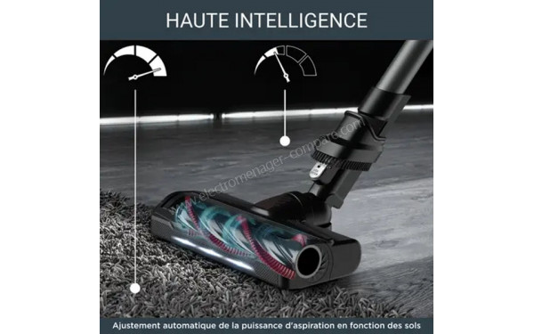 ROWENTA RH2078WO - Mise en situation