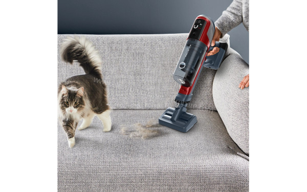 ROWENTA RH6472WO - Mise en situation