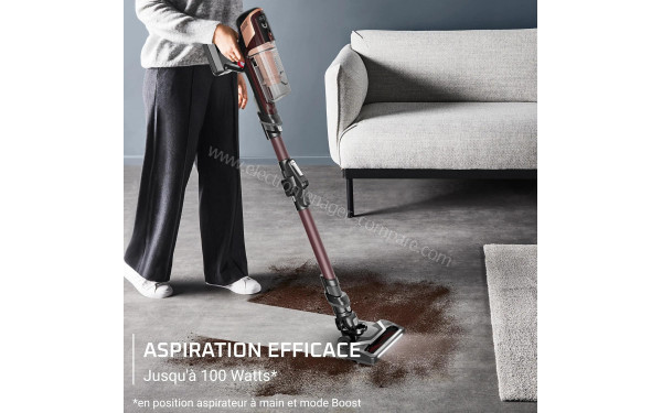 ROWENTA RH6493E0 - Aspiration efficace
