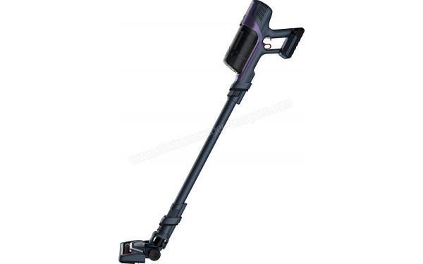 ROWENTA RH6838WO - Vue de profil