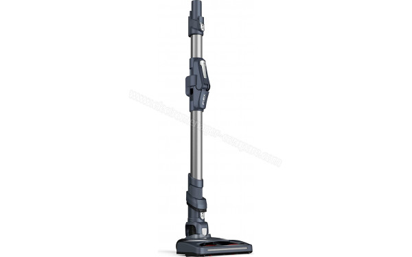 Aspirateur balai Rowenta X-PERT FLEX 6.60 RH6848WO