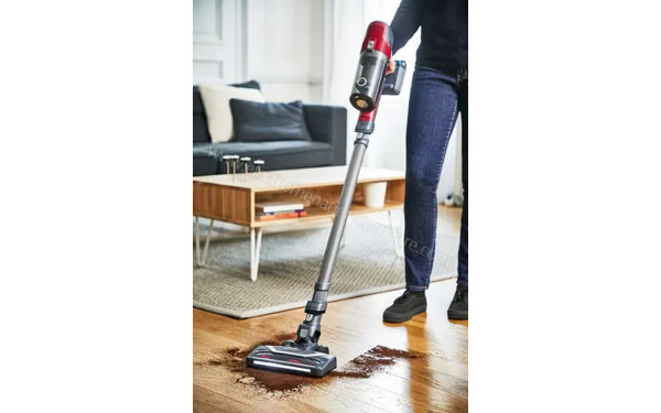 ROWENTA RH6877WO - Mise en situation