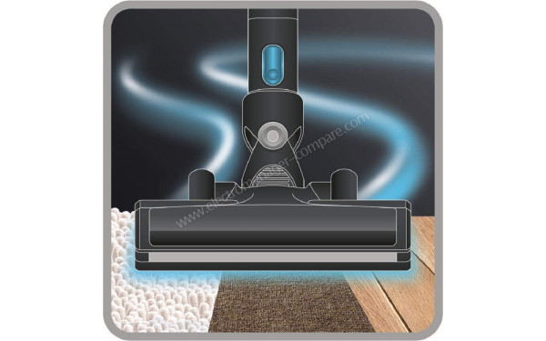 ROWENTA RH6933WO - Vue de la brosse principale