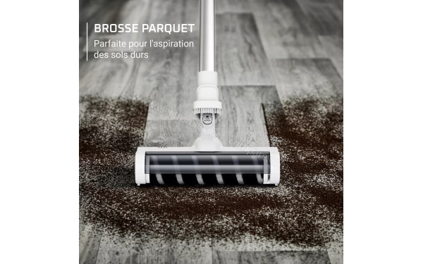 ROWENTA RH6A37WO - Vue de la brosse parquet