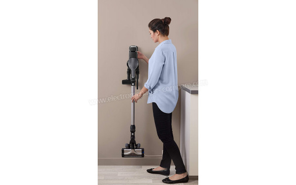 ROWENTA RH9046WO - Mise en situation