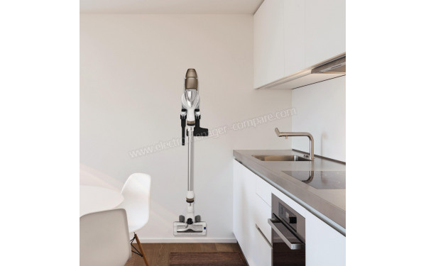 ROWENTA RH9059WO - Mise en situation