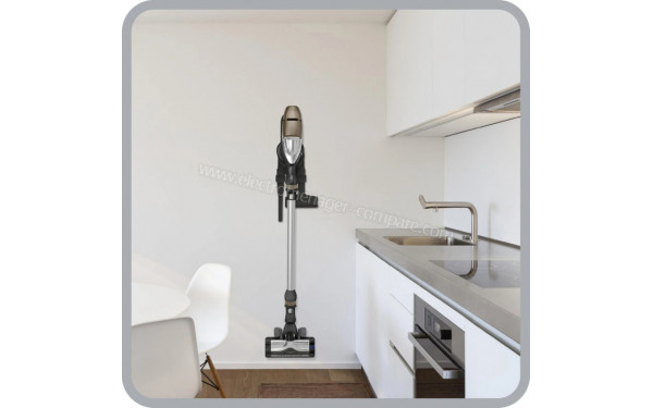 ROWENTA RH9079WO - Mise en situation