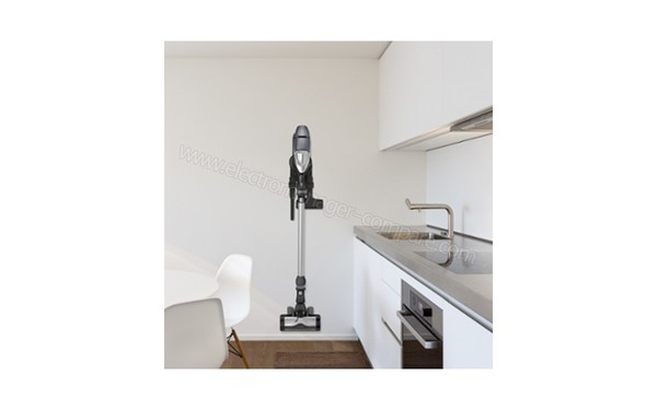 ROWENTA RH9086WO - Mise en situation