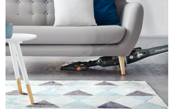 ROWENTA RH9132WH - Mise en situation