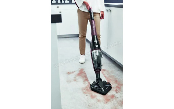 ROWENTA RH9139WH - Mise en situation