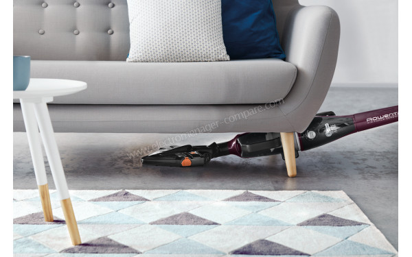 ROWENTA RH9153WO - Mise en situation