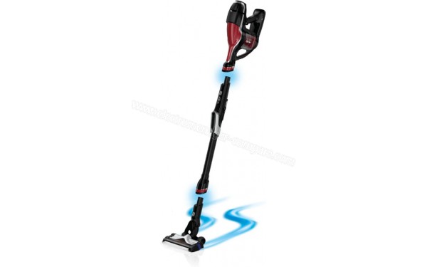 ROWENTA RH9203ES - Vue 3/4 droite