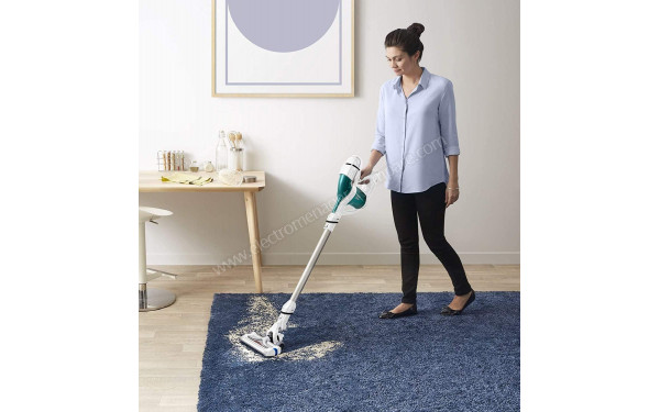 ROWENTA RH9252WO - Mise en situation