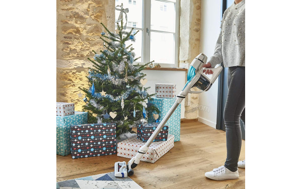 ROWENTA RH9252WO - Mise en situation