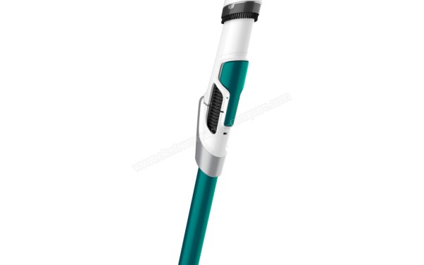 ROWENTA RH9472WO - Vue de l'arri&egrave;re du tube