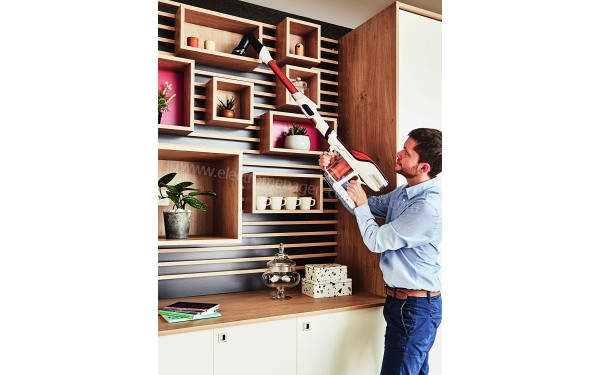 ROWENTA RH9474WO - Mise en situation