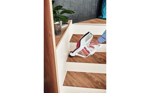 ROWENTA RH9474WO - Mise en situation