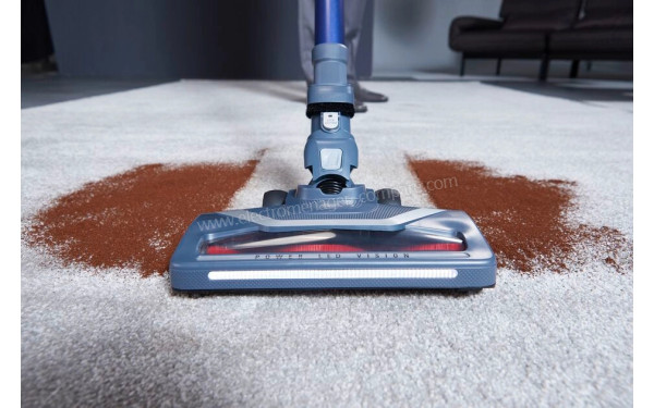 ROWENTA RH9639WO - Mise en situation