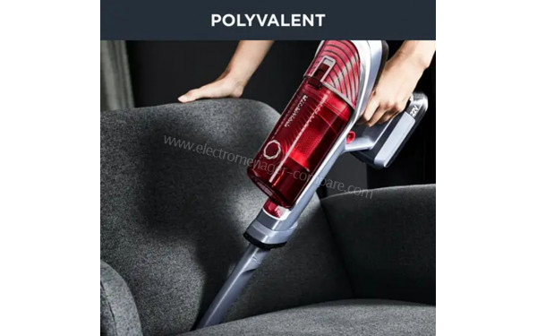 ROWENTA RH9678WO - Mise en situation