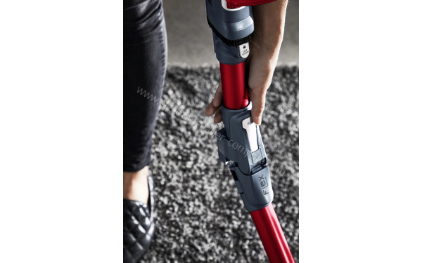 ROWENTA RH9679WO - Mise en situation