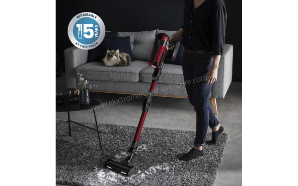 ROWENTA RH98A9WO - Mise en situation