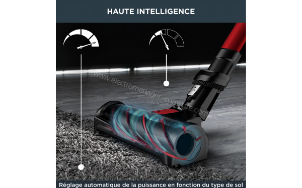 ROWENTA RH98A9WO - Mise en situation