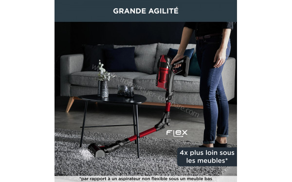 ROWENTA RH98A9WO - Mise en situation