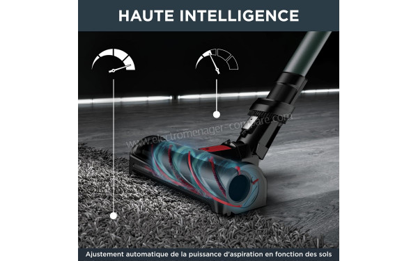 ROWENTA RH98C8WO - Mise en situation