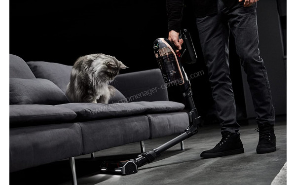 ROWENTA RH99F1WO - Mise en situation