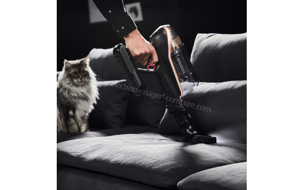 ROWENTA RH99F1WO - Mise en situation