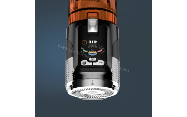 ROWENTA RH9A30WO - Ecran LED