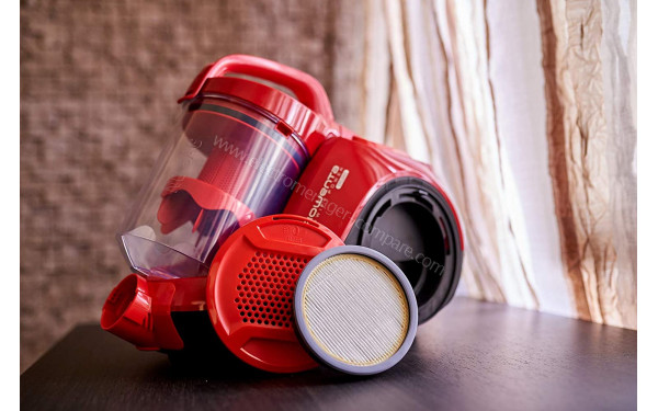 ROWENTA RO2913EA - Vue du filtre