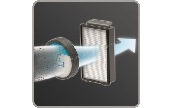 ROWENTA RO4811EA - Vue des filtres