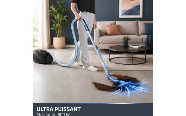 ROWENTA RO4934E0 - Ultra puissant